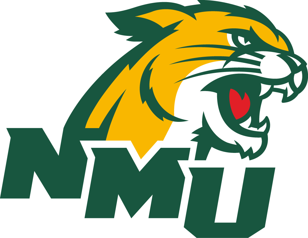 Northern Michigan Wildcats 2016-Pres Secondary Logo v2 t shirts iron on transfers